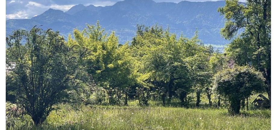 Moderne Küche mit Holzdecke und Blick auf schneebedeckte Landschaft und See.