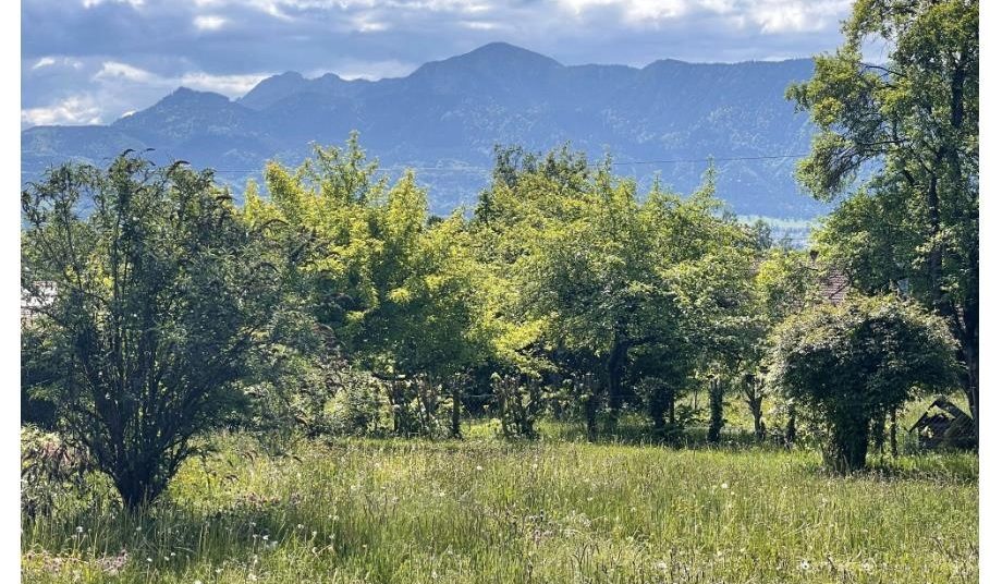 Moderne Küche mit Holzdecke und Blick auf schneebedeckte Landschaft und See.